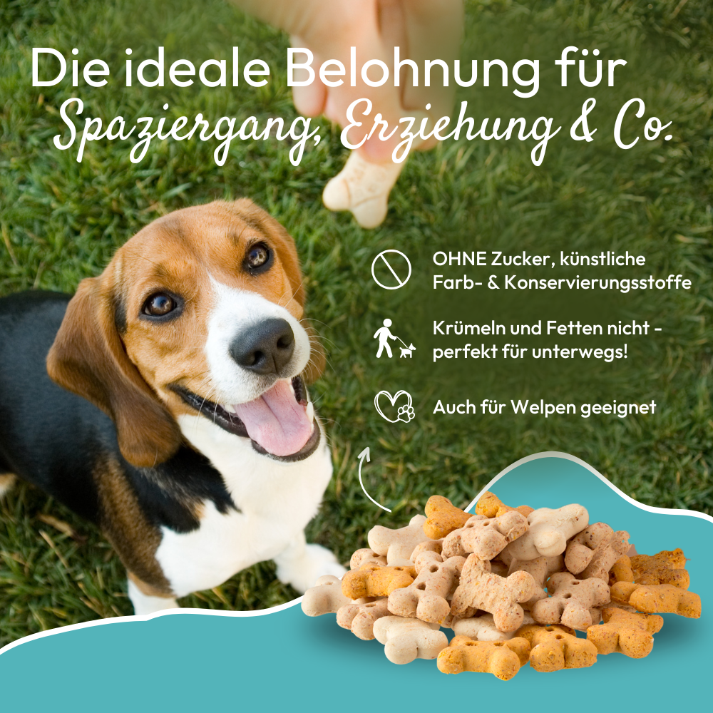 PHA NaturSnack für Hunde