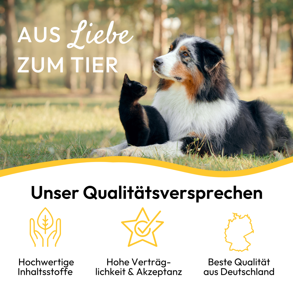 PHA Haut- & FellVital für Hunde u. Katzen 250 ml
