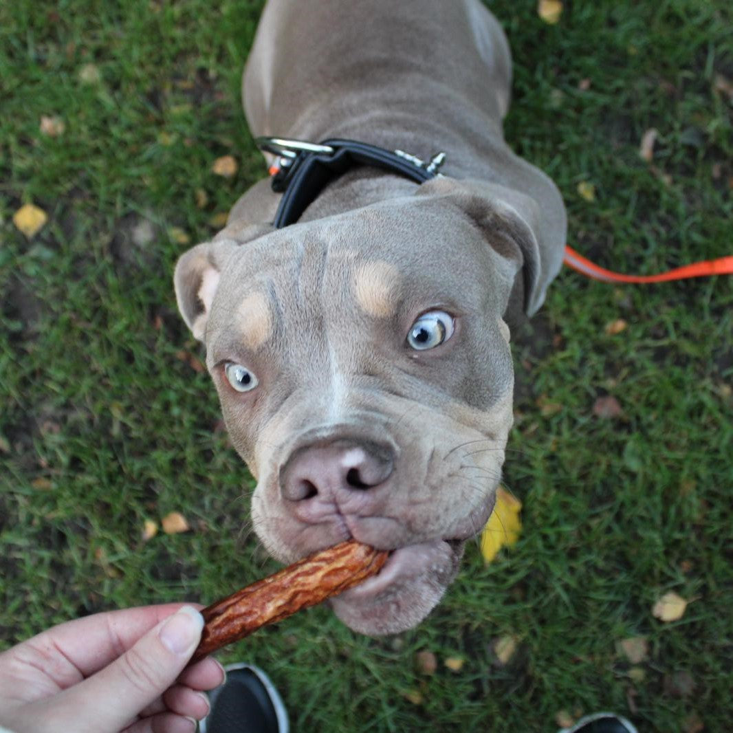 Bockwurst Ente