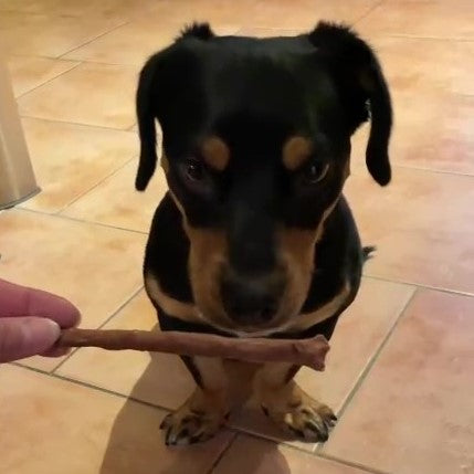 Enten-Sticks
