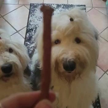 Enten-Sticks