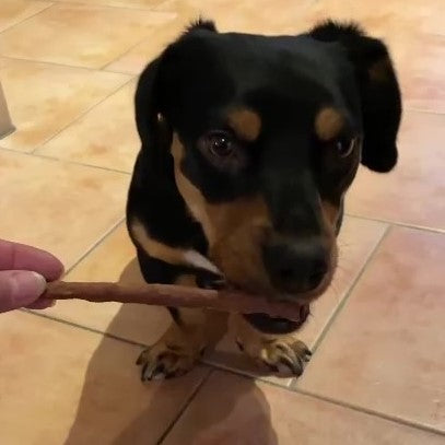 Enten-Sticks