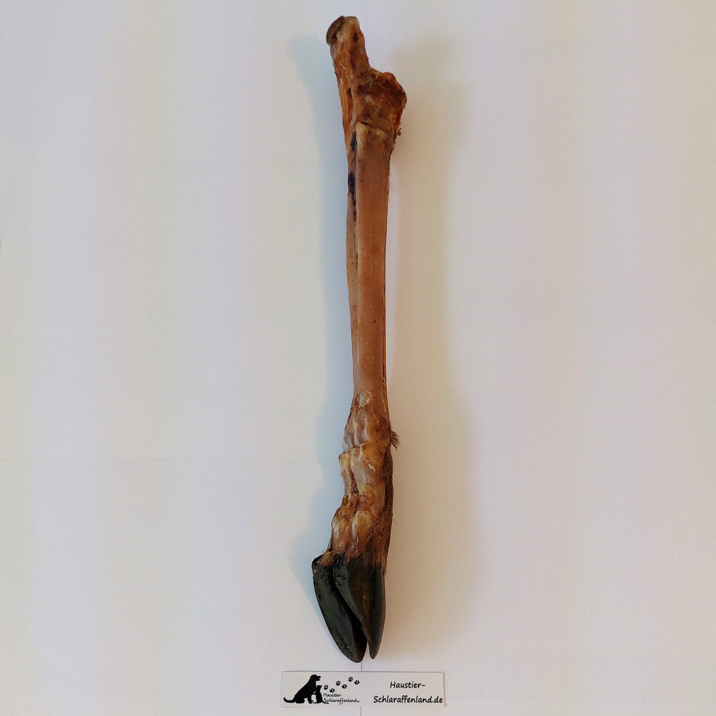 Hirsch-Hinterbein
