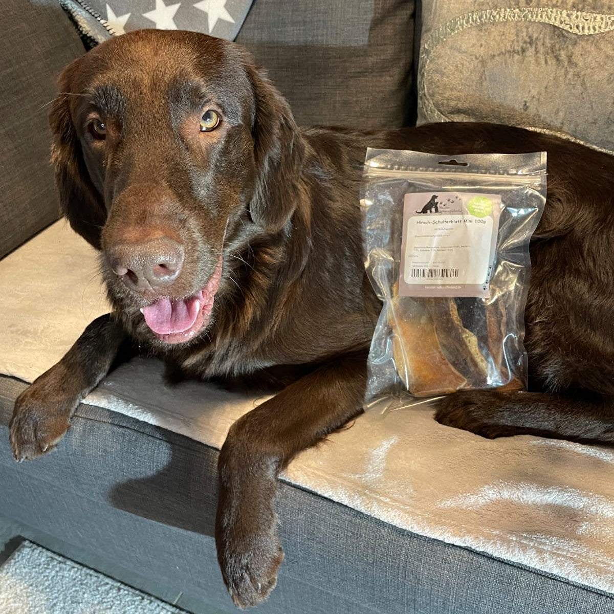 Hirsch-Schulterblatt Mini