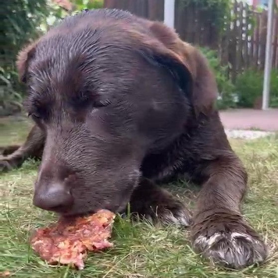 Hühner-Filet - Hühnerbrust-Filet