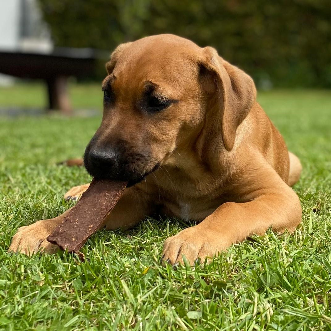 Hühner-Fleischstreifen