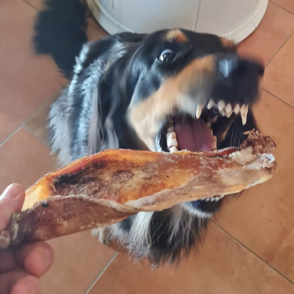 Rinder-Schulterblatt Maxi