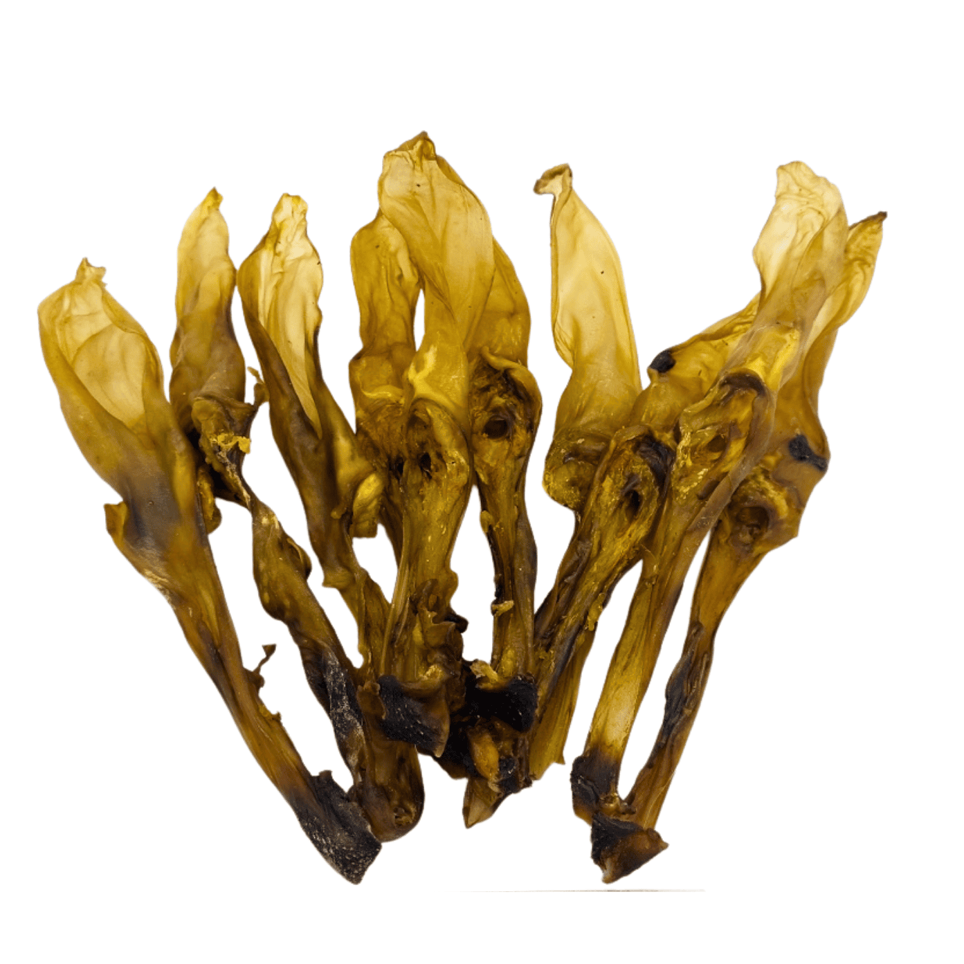 Kaninchen-Ohren