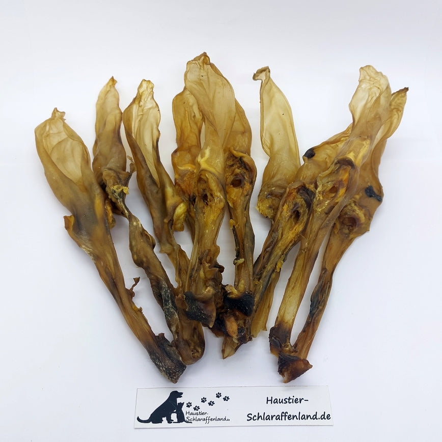 Kaninchen-Ohren