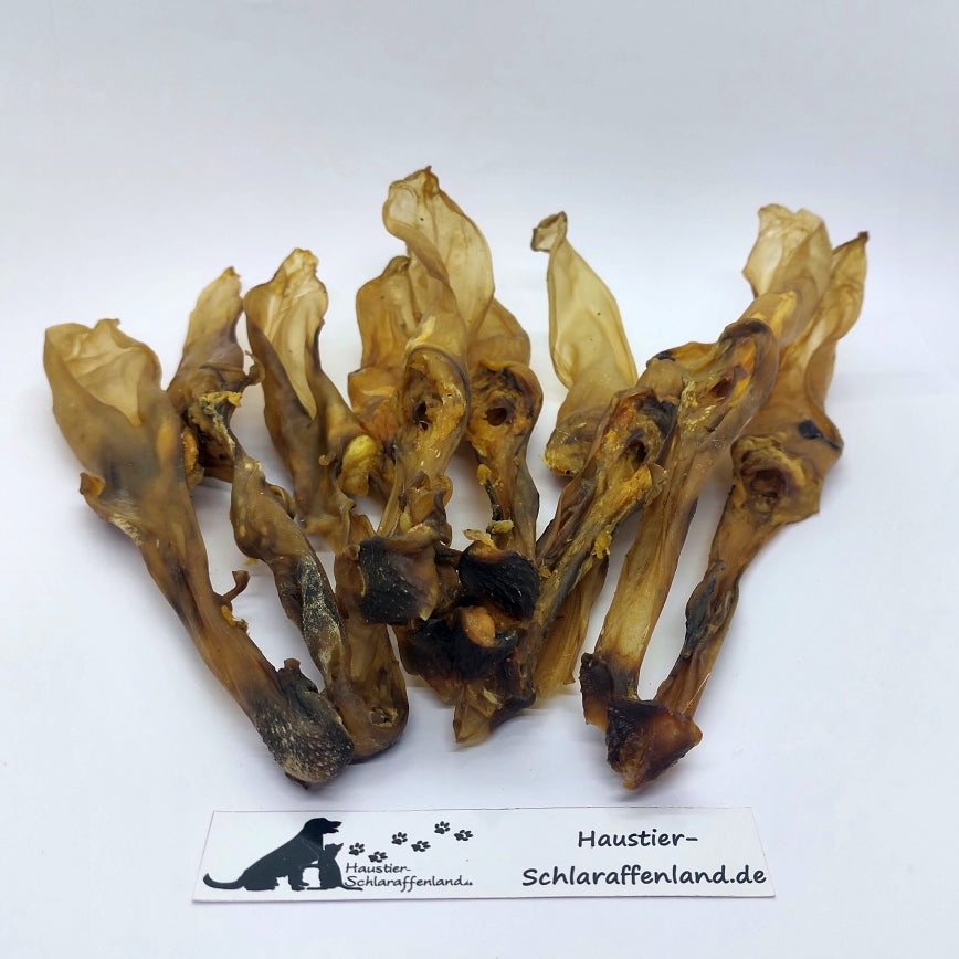 Kaninchen-Ohren