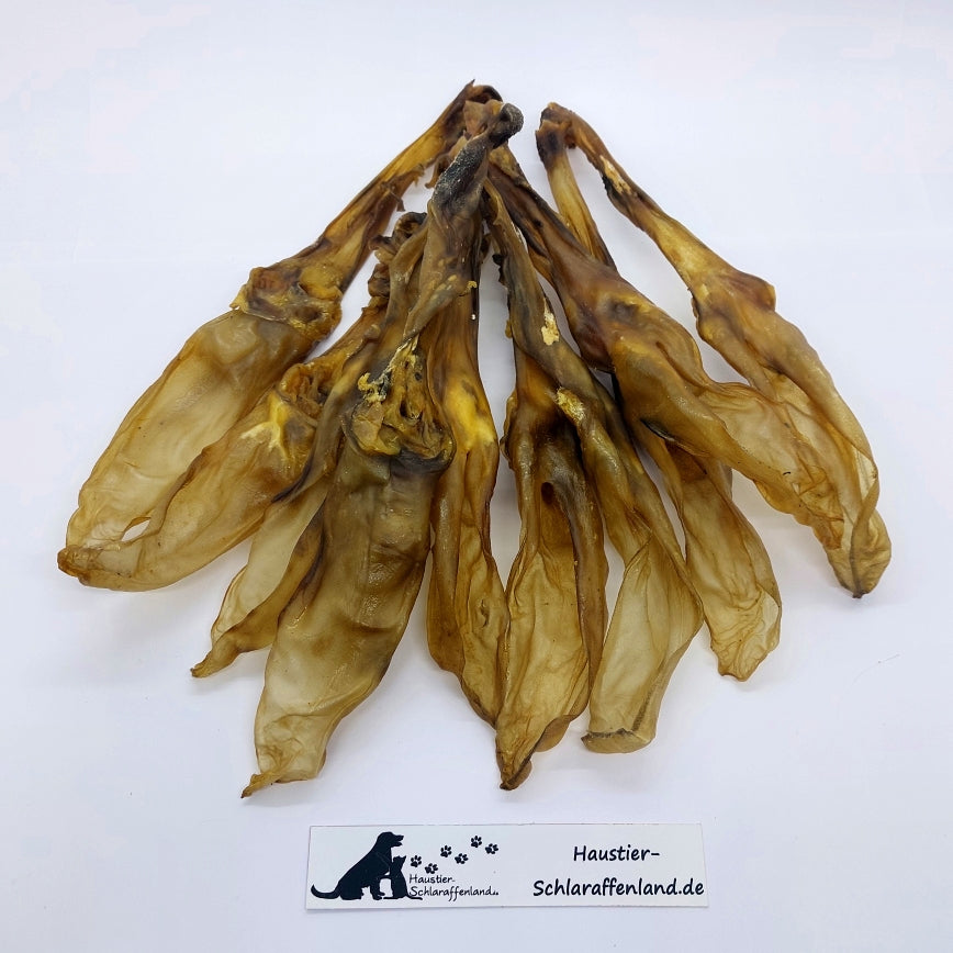 Kaninchen-Ohren