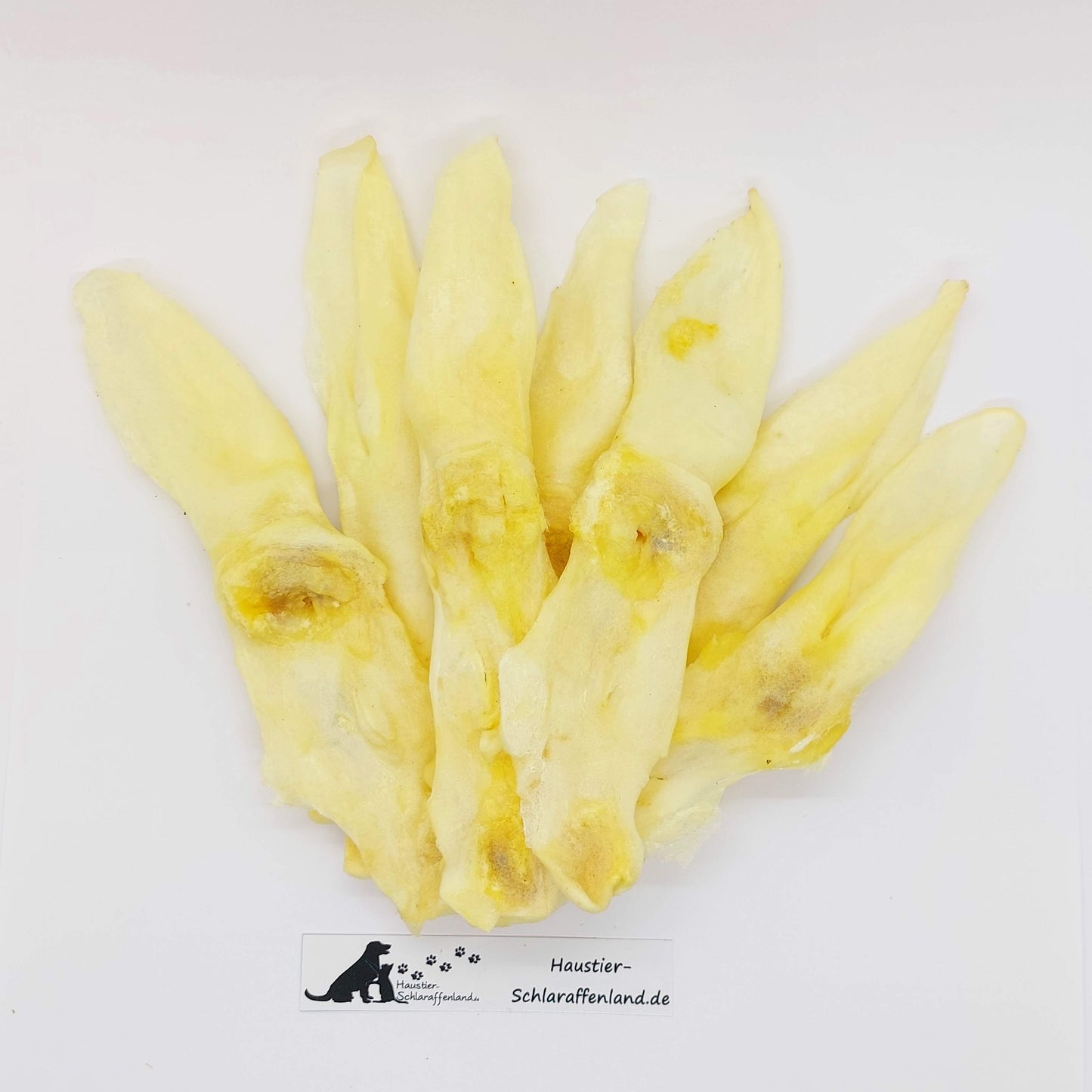 Kaninchen-Ohren, weiß