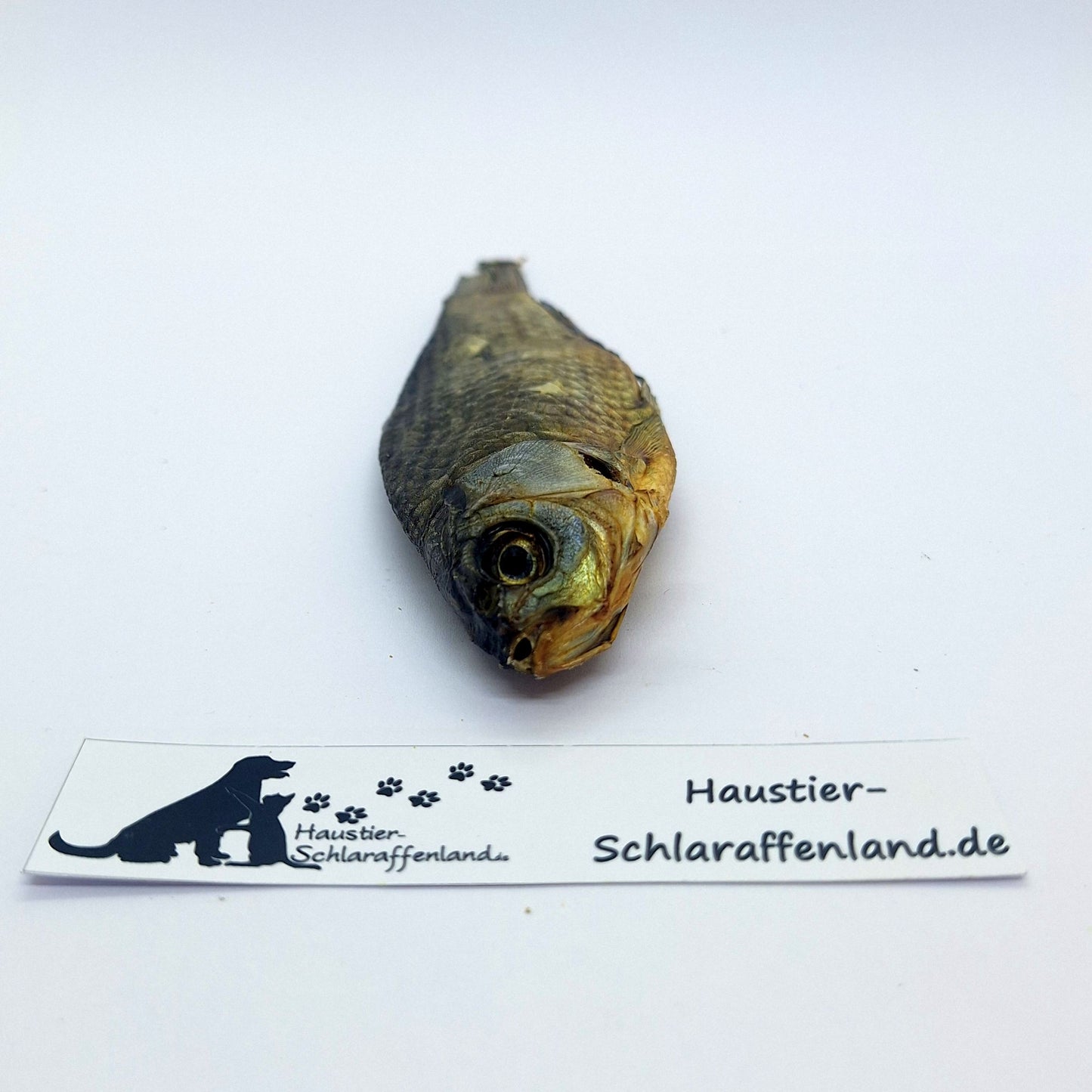 Karausche