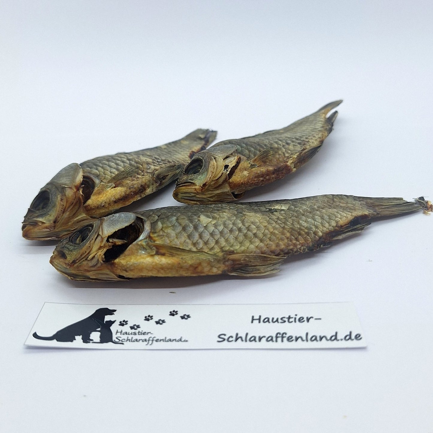 Karausche