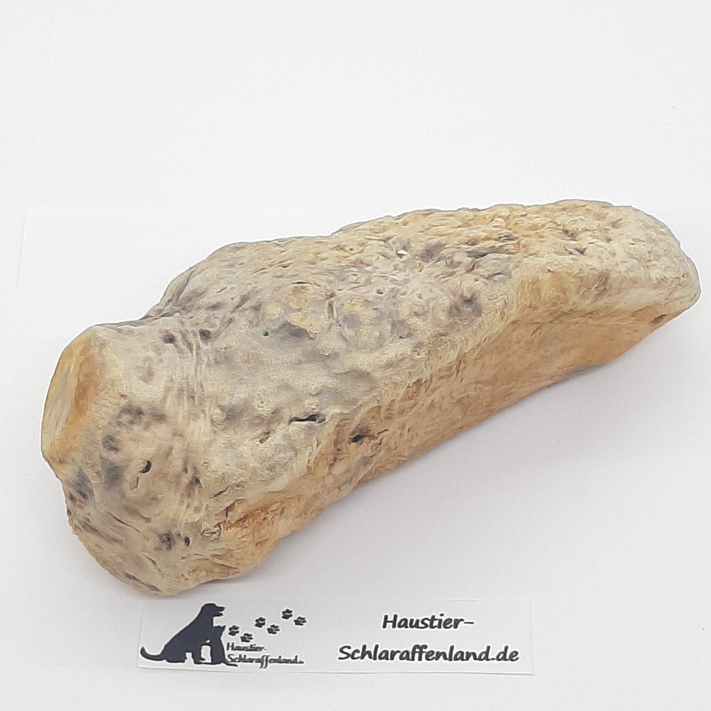Kauwurzel