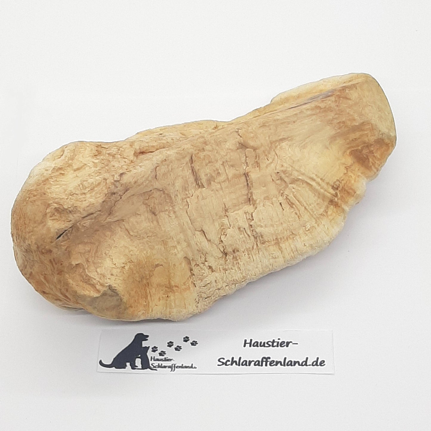 Kauwurzel