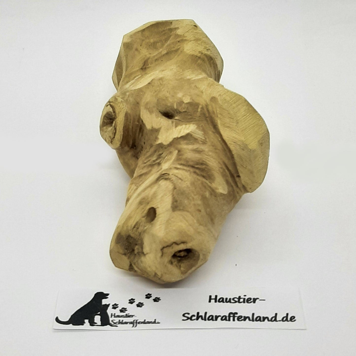 Kauwurzel aus Kaffeebaum