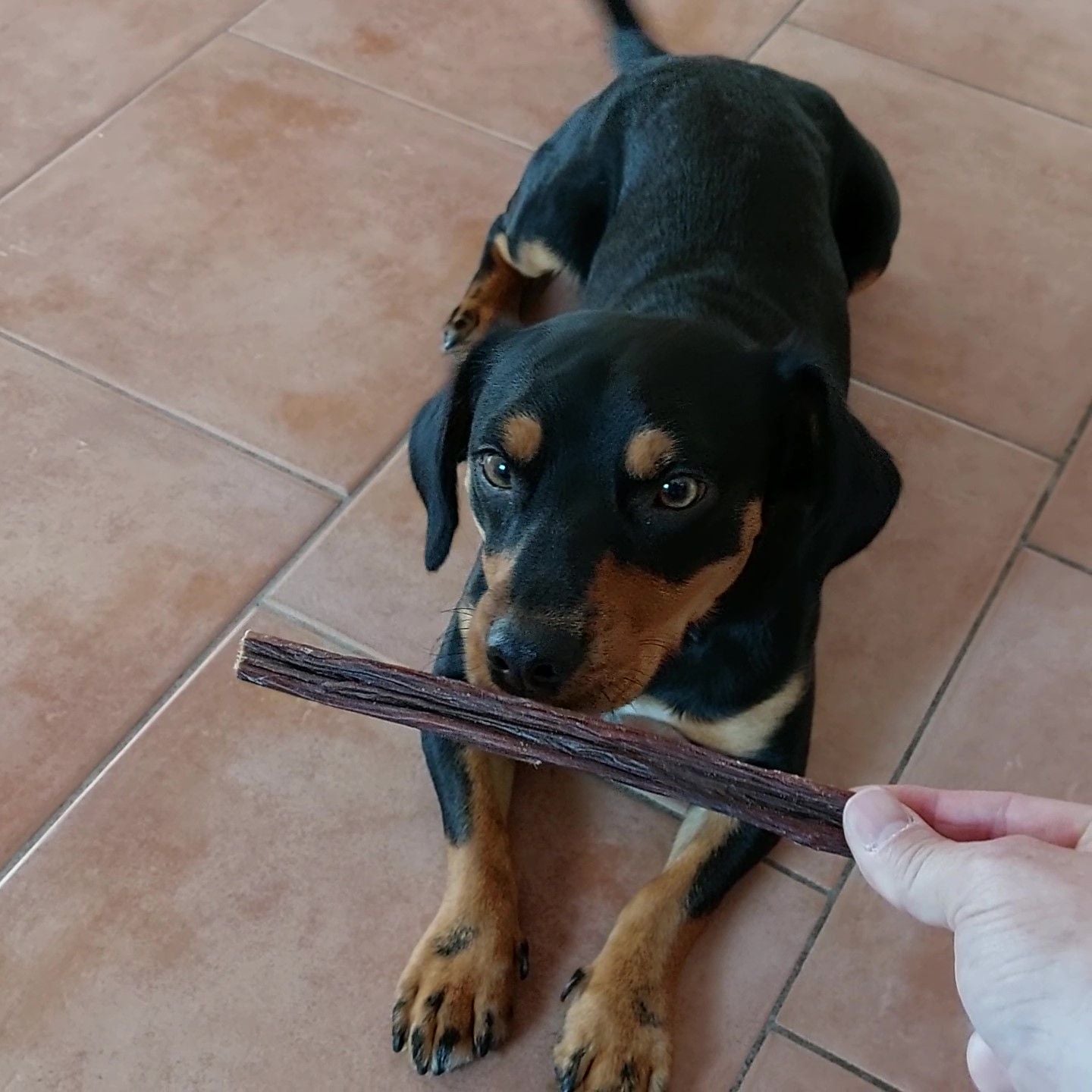 Lamm-Schlund, Abschnitte