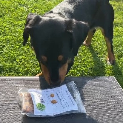 Lachs-Sticks-Trainingssnack