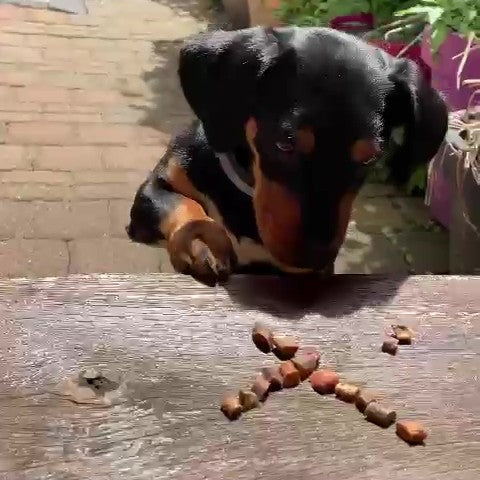Mix-Sticks-Trainingssnacks