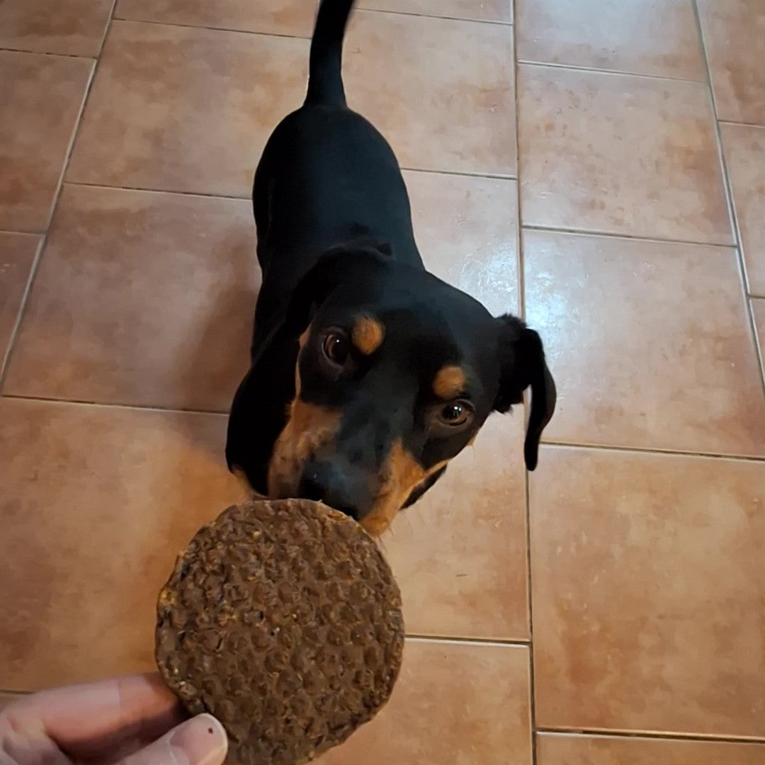 Schweine-Burger