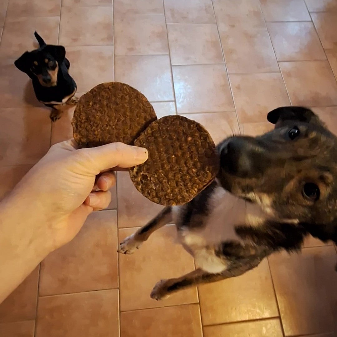 Schweine-Burger