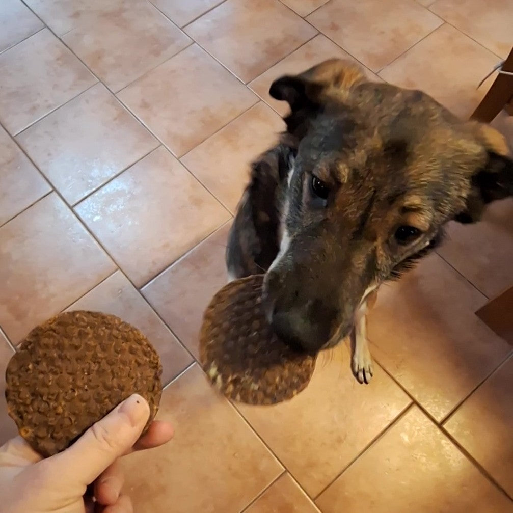 Wild-Burger