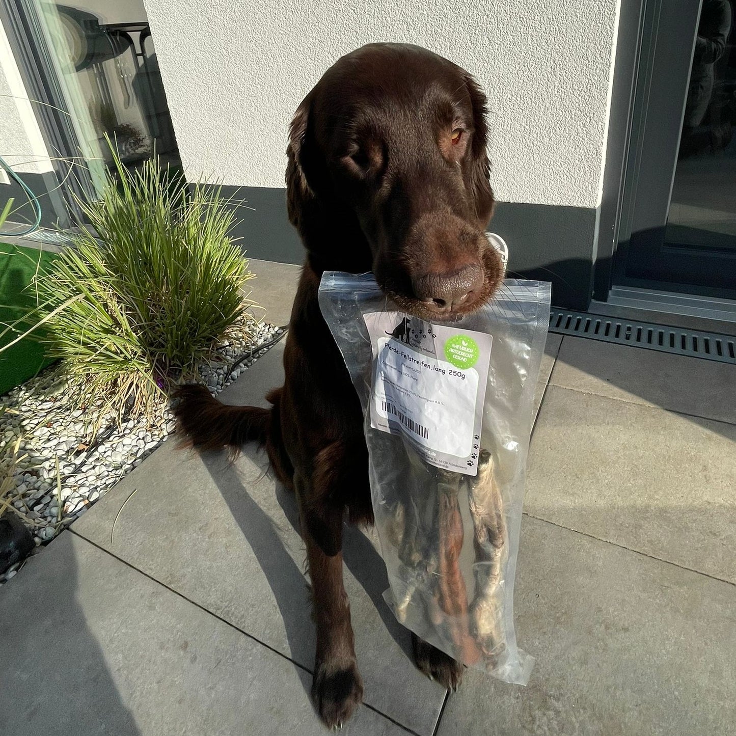 Pferde-Fellstreifen, lang