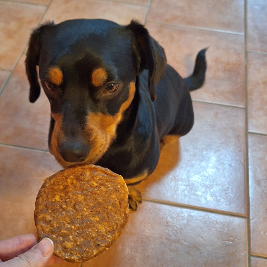 Schweine-Burger