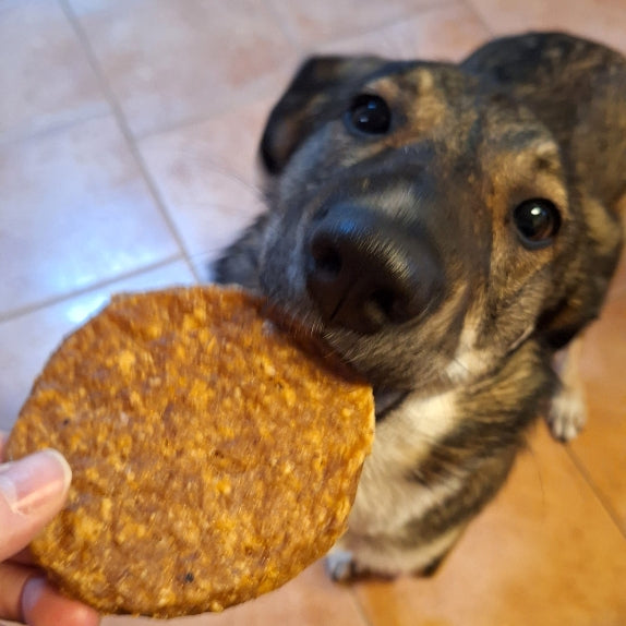 Schweine-Burger