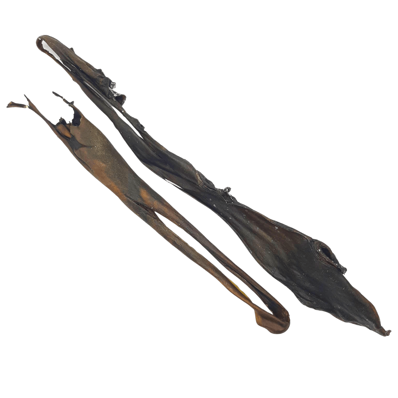 Reh-Haut 50-70cm, gerollt
