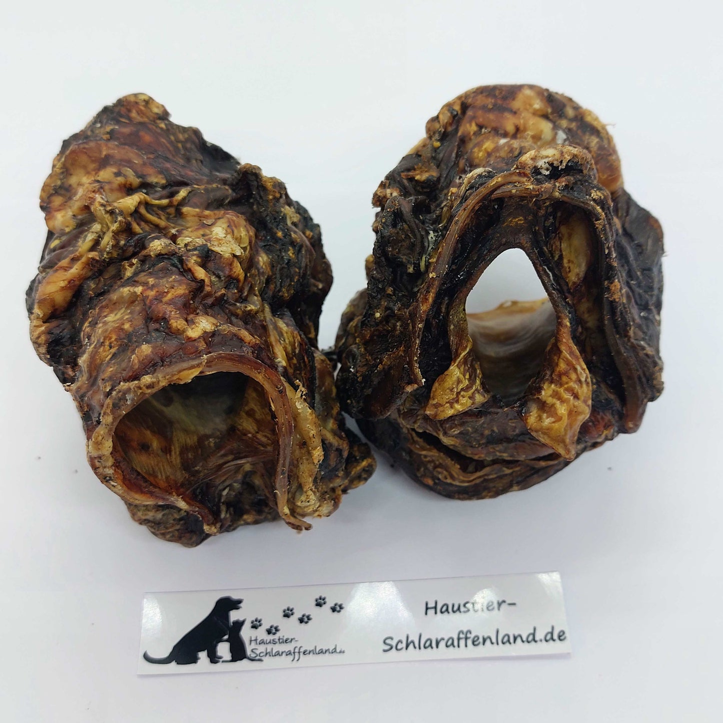 Rinder-Kehlköpfe