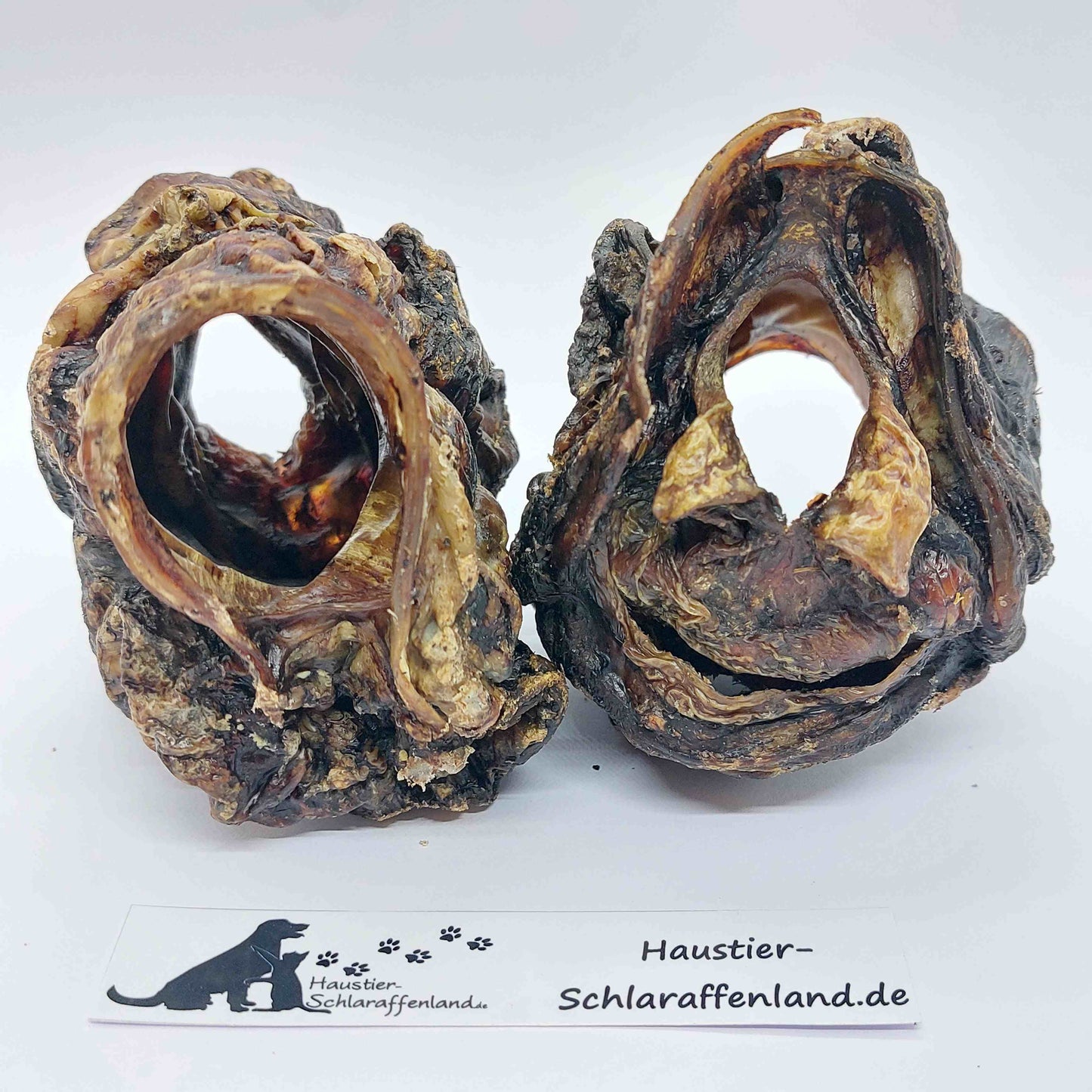 Rinder-Kehlköpfe