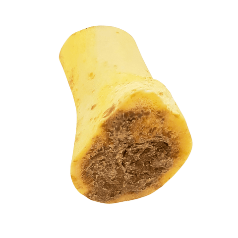 Rinder-Markknochen