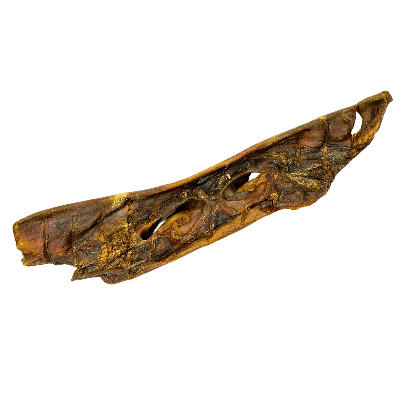 Rinder-Nase, lang 40 - 80 cm