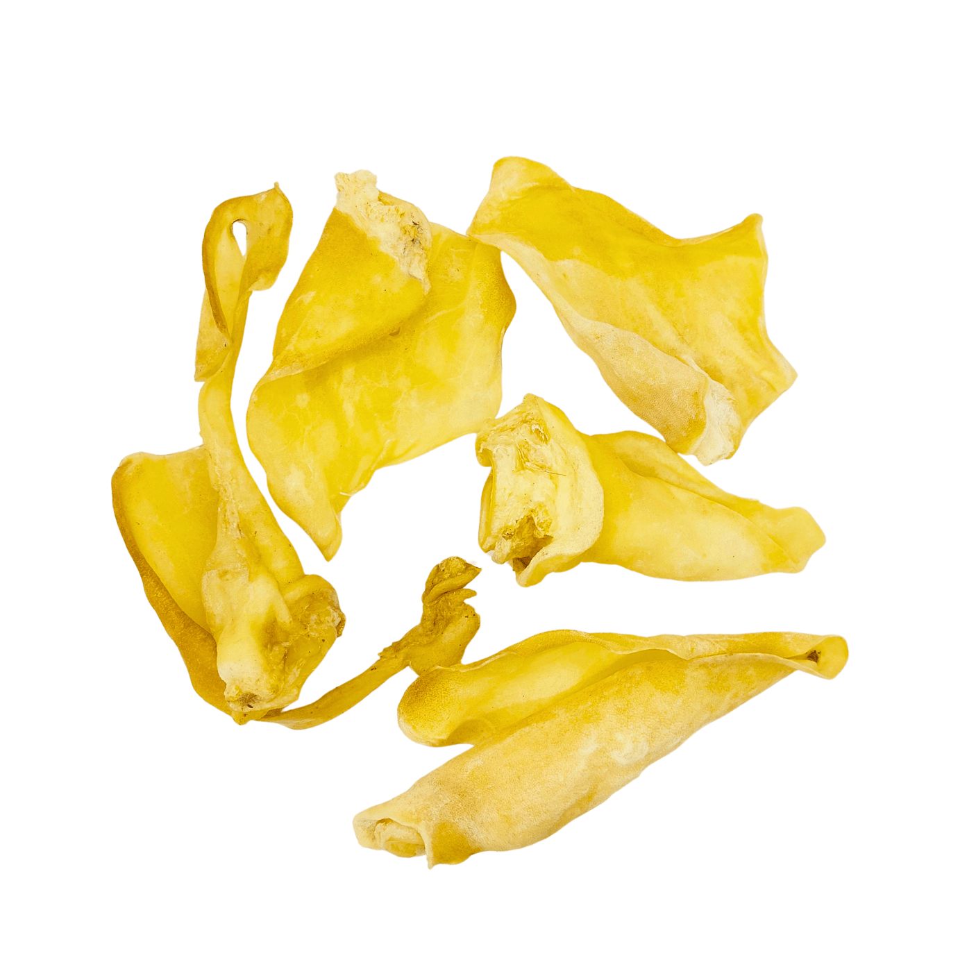 Rinder-Ohr, weiß
