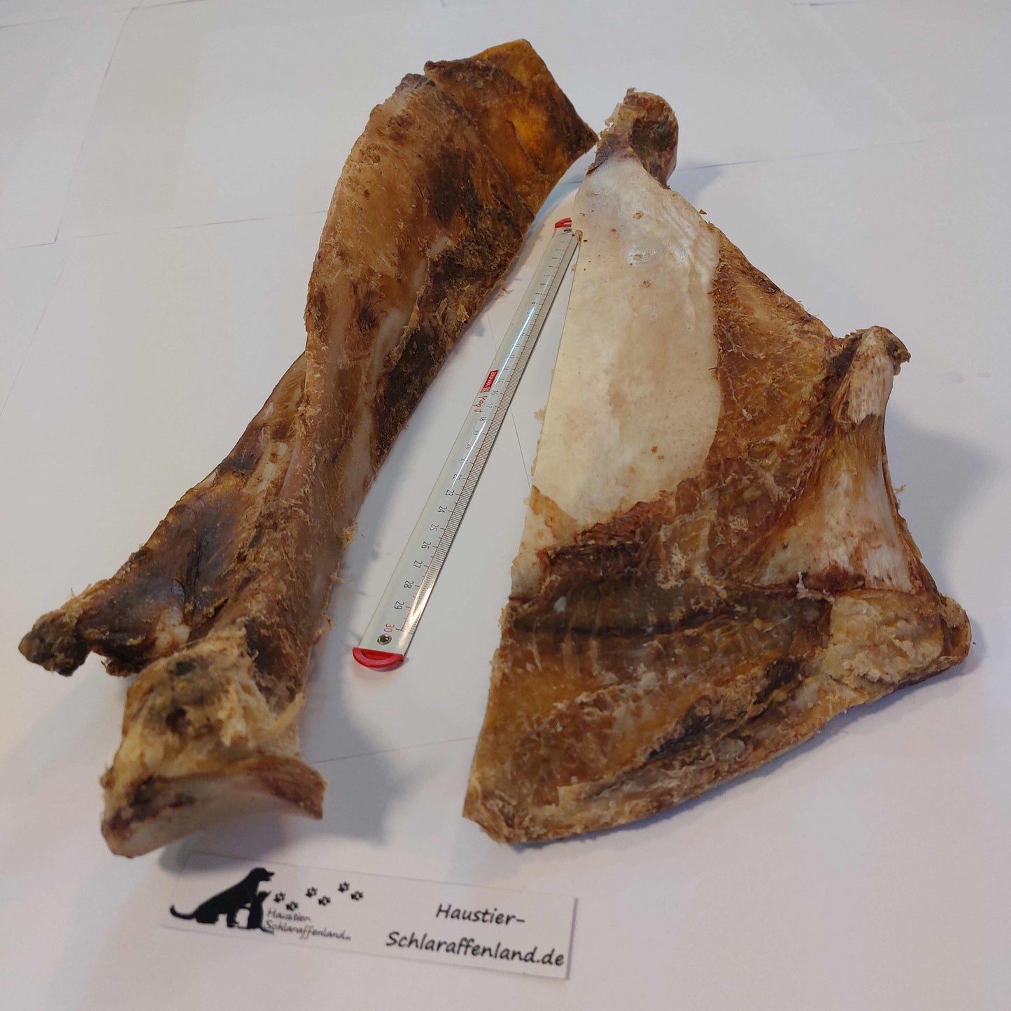 Rinder-Schulterblatt Giant