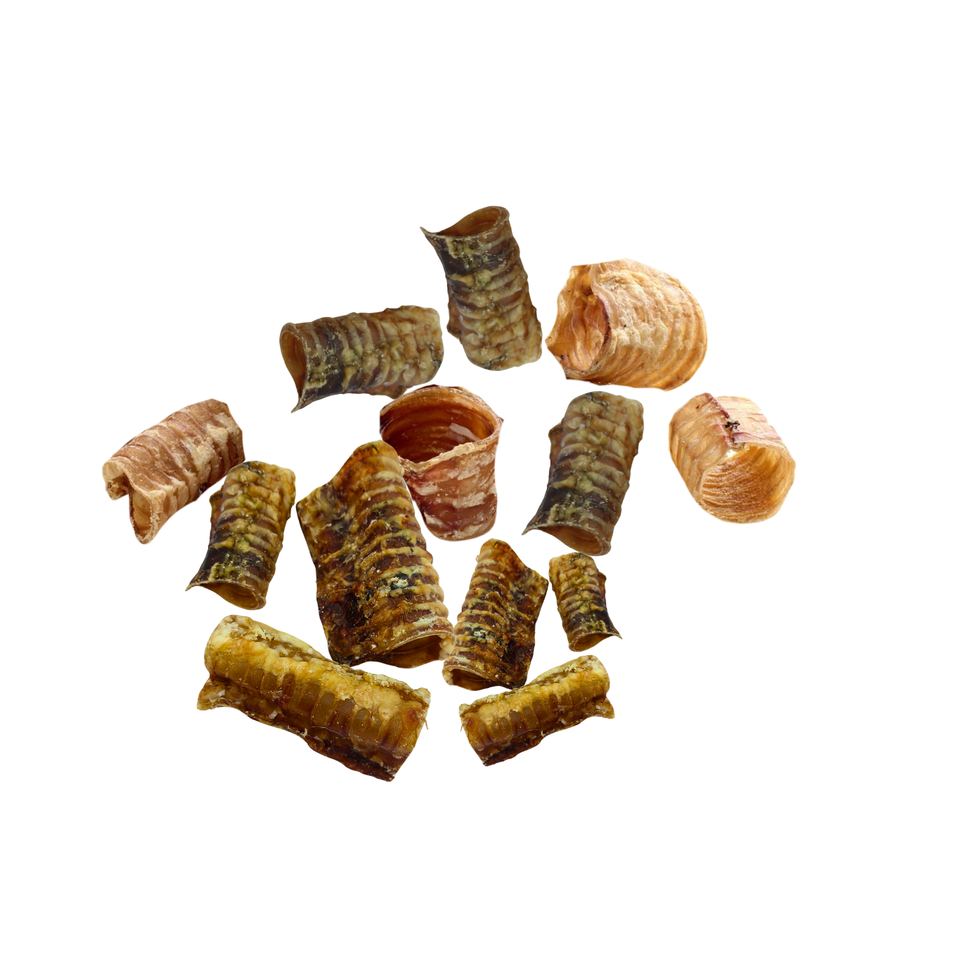 Rinder-Strossen, Abschnitte