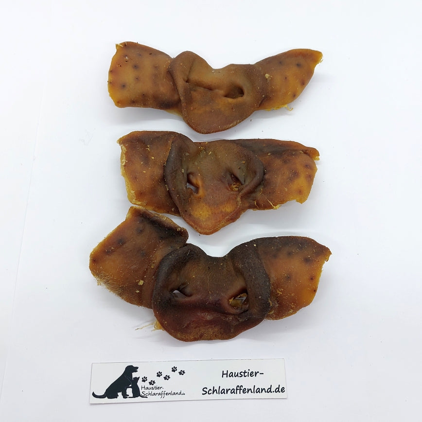 Schweine-Nasen, ganz