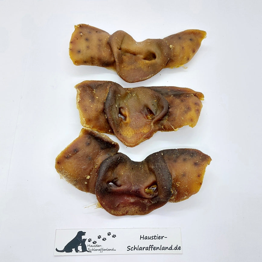 Schweine-Nasen, ganz