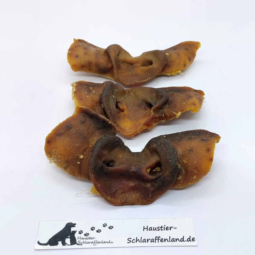 Schweine-Nasen, ganz