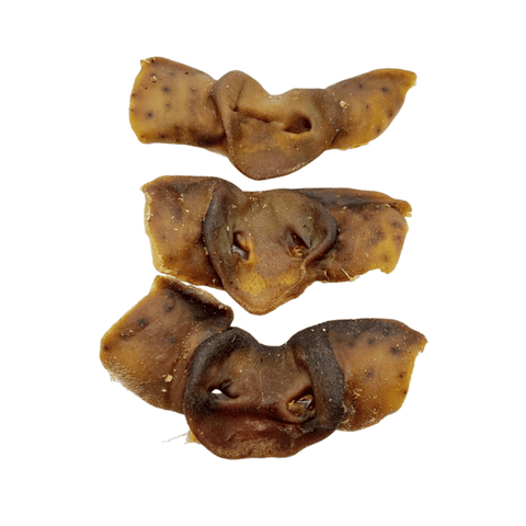 Schweine-Nasen, ganz