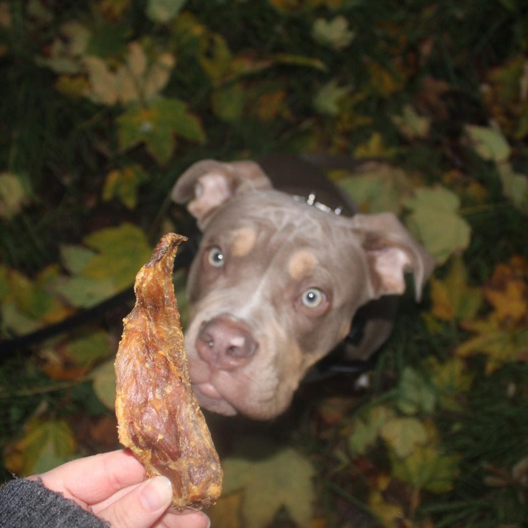 Schweine-Schulterblatt