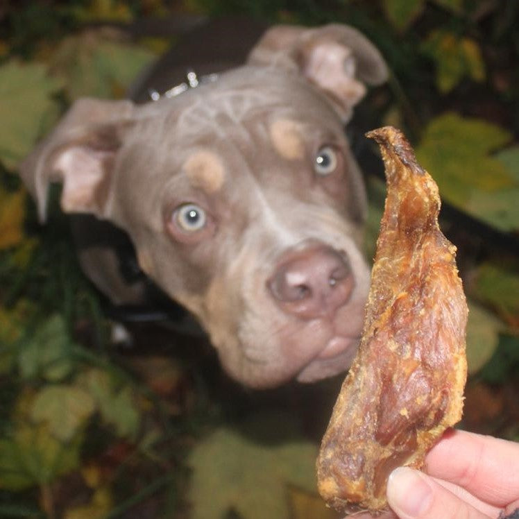 Schweine-Schulterblatt