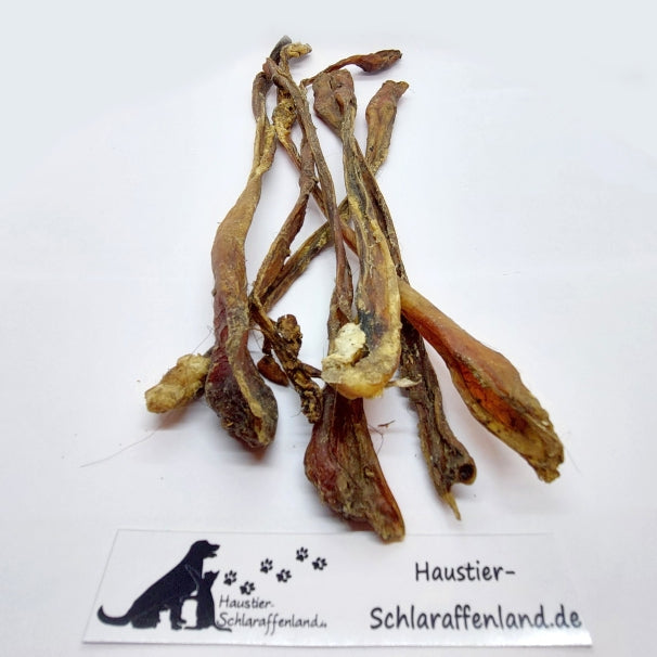 Straußen-Sehnen, kurz