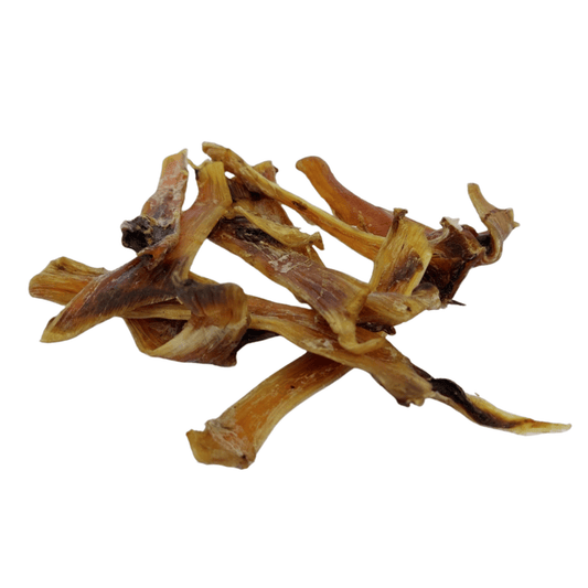 Straußen-Sehne, flach