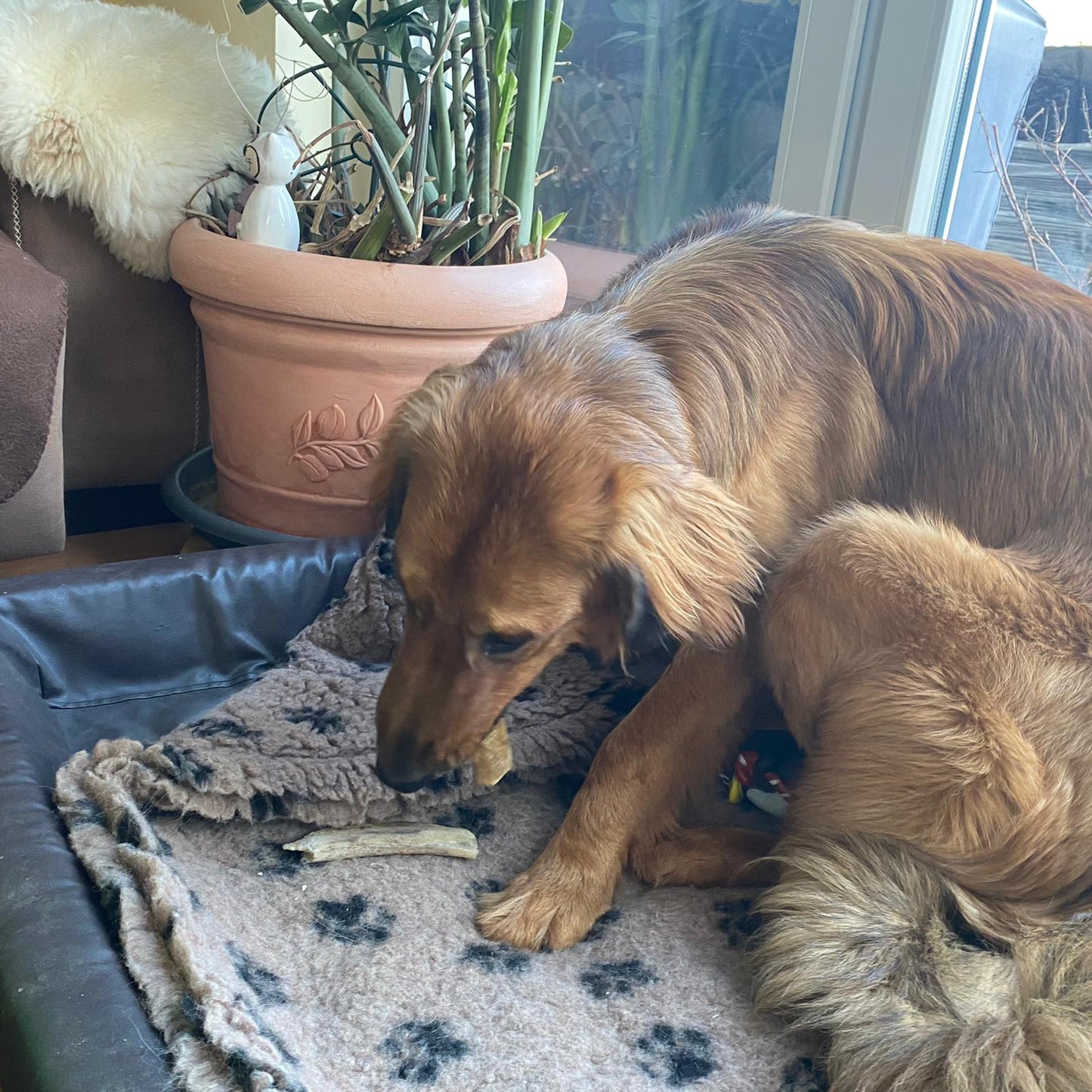 Straußen-Strossen, Abschnitte