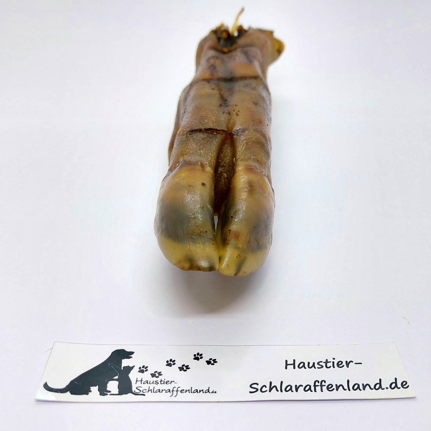 Wildschwein-Fuß