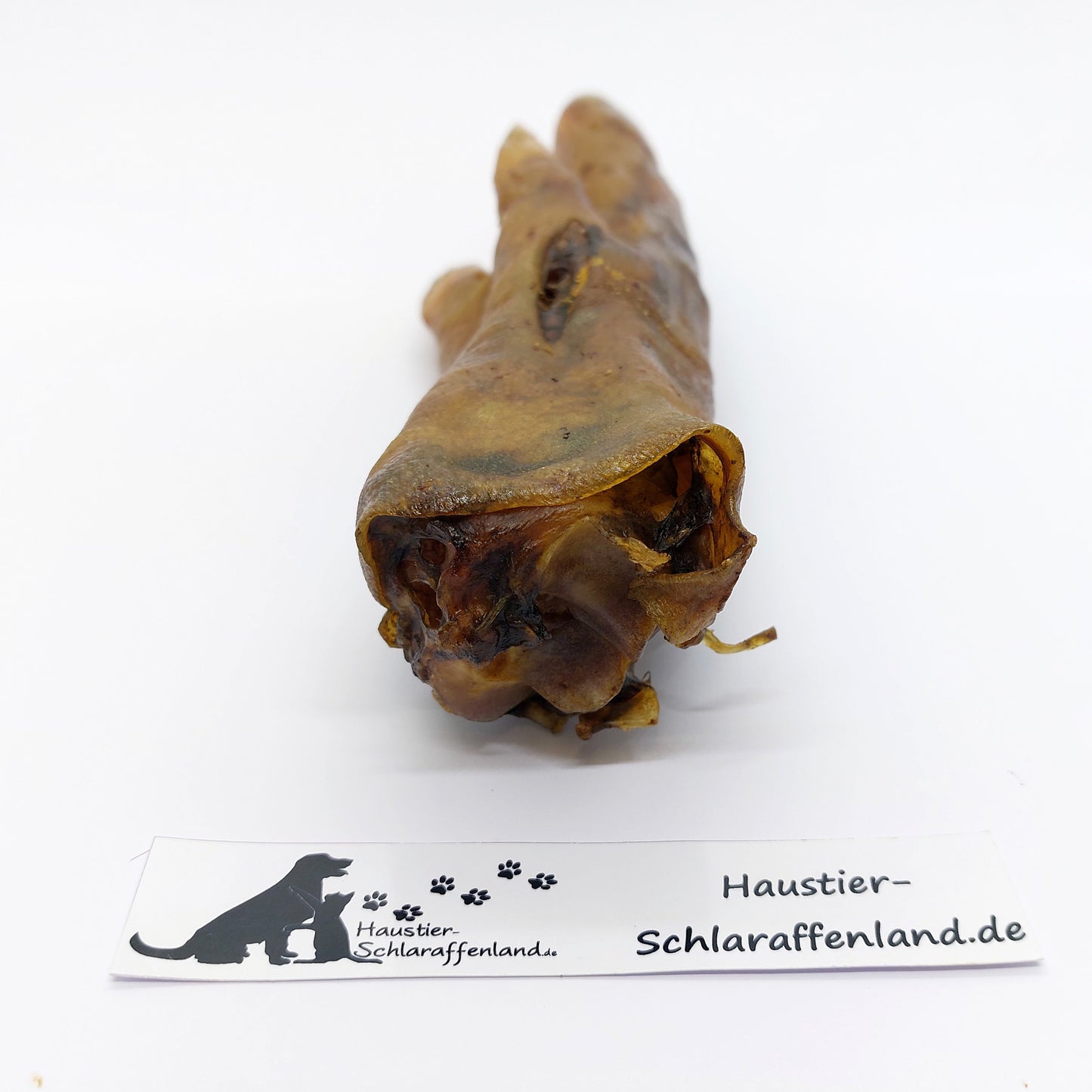Wildschwein-Fuß