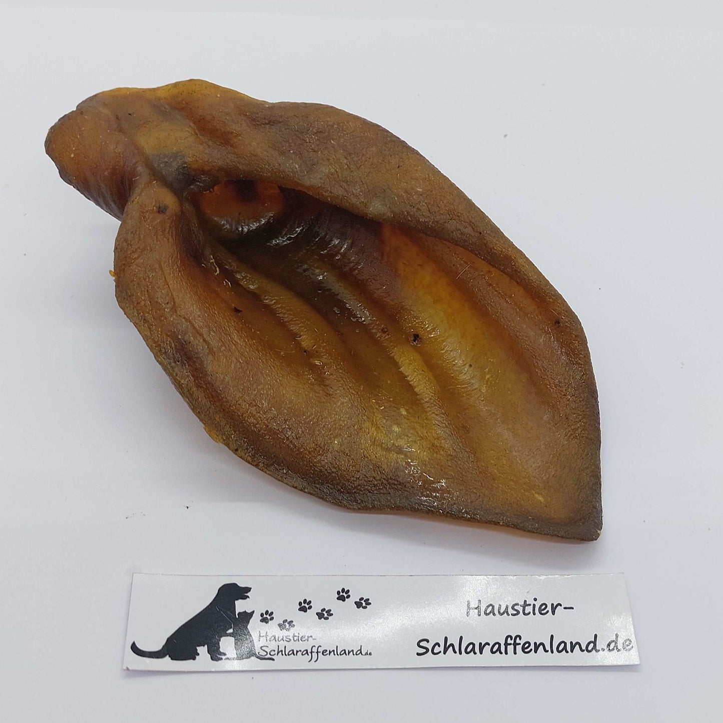 Wildschwein-Ohr